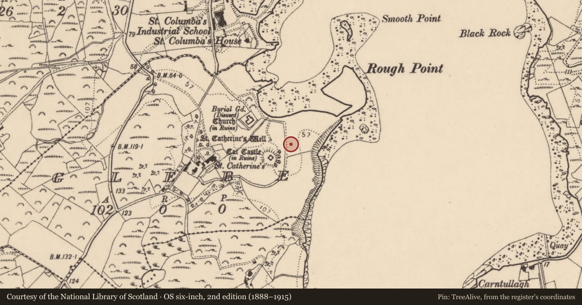 Ordnance Survey six-inch map, 2nd edition (1888–1915) covering the location of Fulacht fia, Glebe, County Donegal, with a pin at the register's coordinates