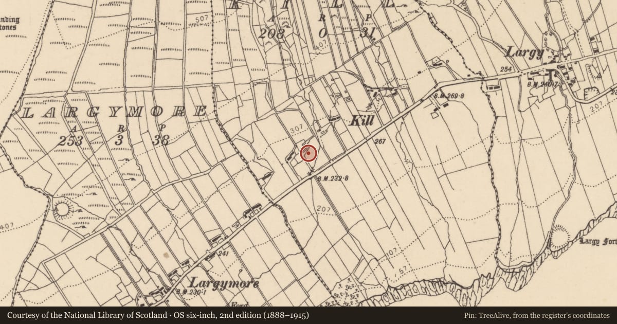 Ordnance Survey six-inch map, 2nd edition (1888–1915) covering the location of Bullaun stone (present location), Kill, County Donegal, with a pin at the register's coordinates