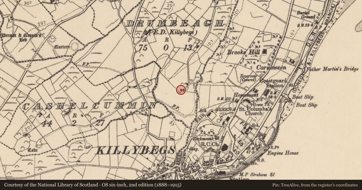 Ordnance Survey six-inch map, 2nd edition (1888–1915) covering the location of Bullaun stone (present location), Drumbeagh, County Donegal, with a pin at the register's coordinates