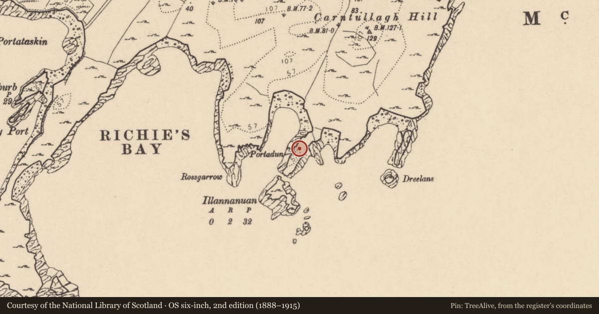 Ordnance Survey six-inch map, 2nd edition (1888–1915) covering the location of Promontory fort - coastal, Carntullagh, County Donegal, with a pin at the register's coordinates