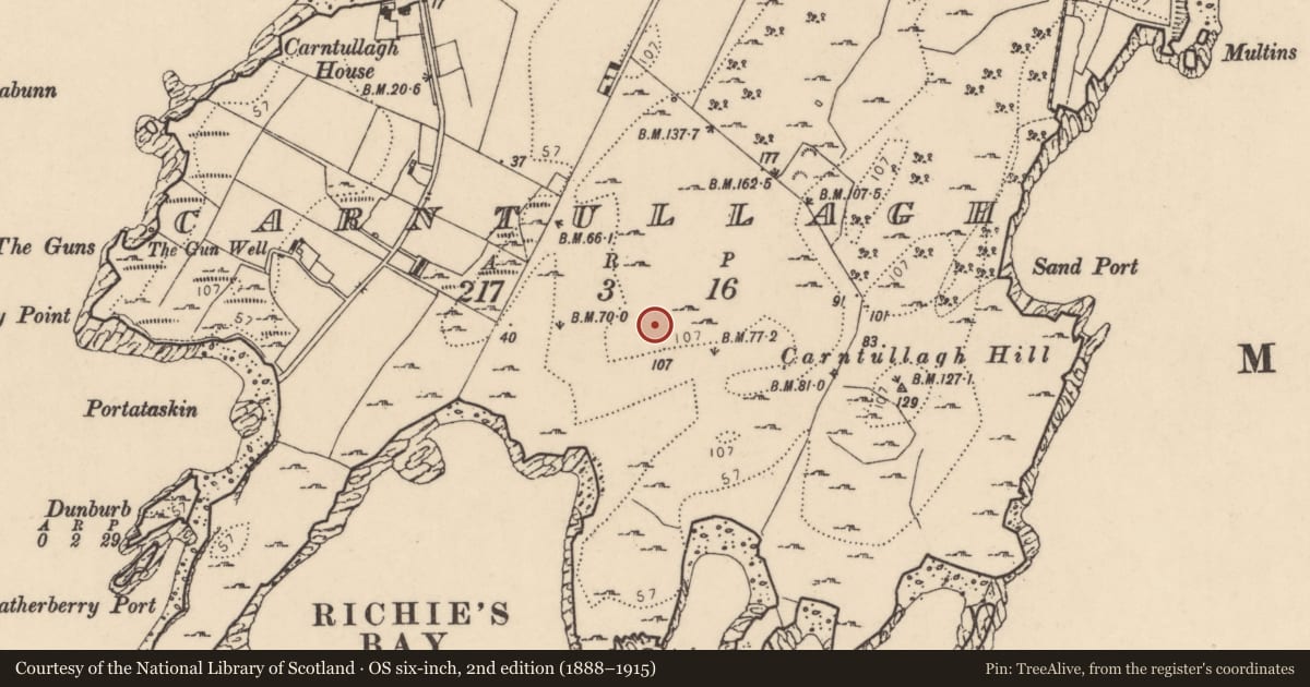 Ordnance Survey six-inch map, 2nd edition (1888–1915) covering the location of Enclosure, Carntullagh, County Donegal, with a pin at the register's coordinates