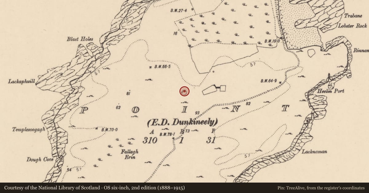 Ordnance Survey six-inch map, 2nd edition (1888–1915) covering the location of Ringfort - cashel, Point, County Donegal, with a pin at the register's coordinates