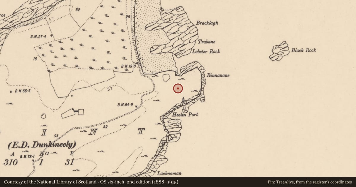 Ordnance Survey six-inch map, 2nd edition (1888–1915) covering the location of Field boundary, Point, County Donegal, with a pin at the register's coordinates