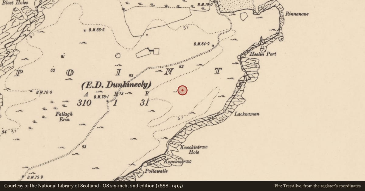 Ordnance Survey six-inch map, 2nd edition (1888–1915) covering the location of Hut site, Point, County Donegal, with a pin at the register's coordinates