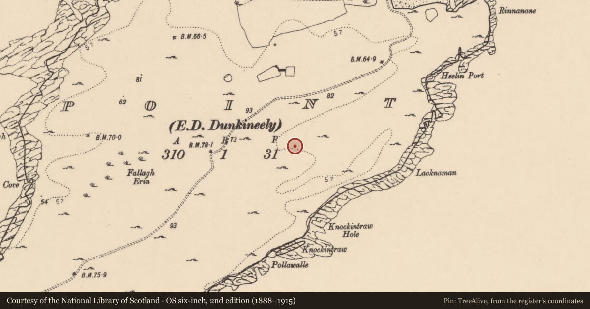 Ordnance Survey six-inch map, 2nd edition (1888–1915) covering the location of Field system, Point, County Donegal, with a pin at the register's coordinates