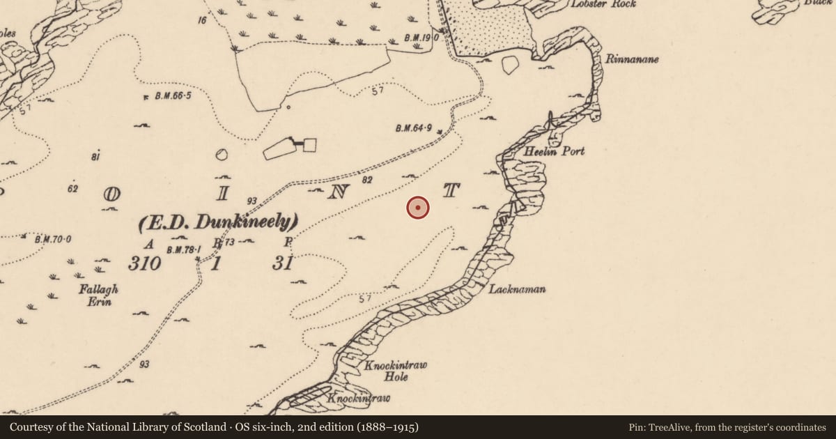 Ordnance Survey six-inch map, 2nd edition (1888–1915) covering the location of Hut site, Point, County Donegal, with a pin at the register's coordinates