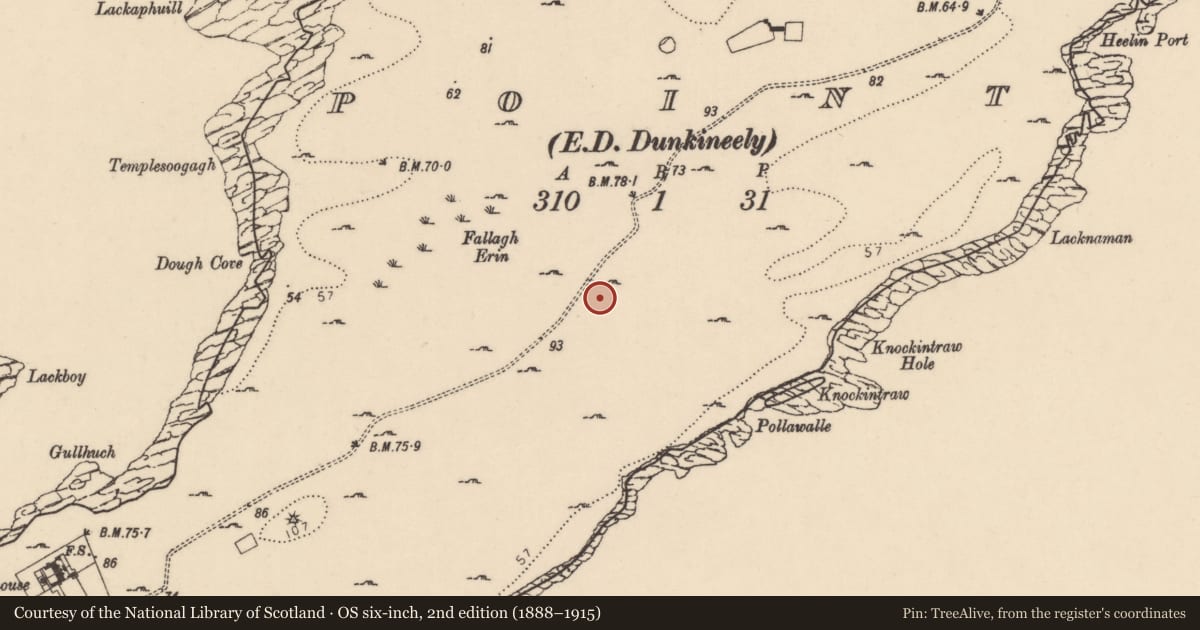 Ordnance Survey six-inch map, 2nd edition (1888–1915) covering the location of Hut site, Point, County Donegal, with a pin at the register's coordinates