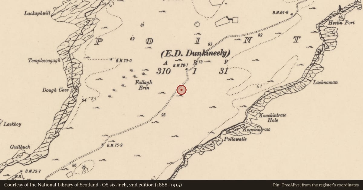 Ordnance Survey six-inch map, 2nd edition (1888–1915) covering the location of Enclosure, Point, County Donegal, with a pin at the register's coordinates