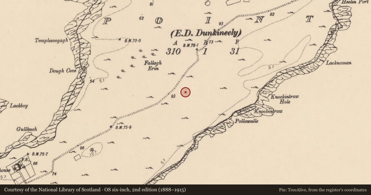Ordnance Survey six-inch map, 2nd edition (1888–1915) covering the location of Hut site, Point, County Donegal, with a pin at the register's coordinates