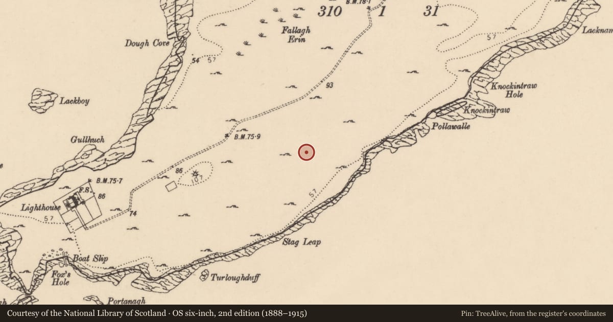 Ordnance Survey six-inch map, 2nd edition (1888–1915) covering the location of Hut site, Point, County Donegal, with a pin at the register's coordinates