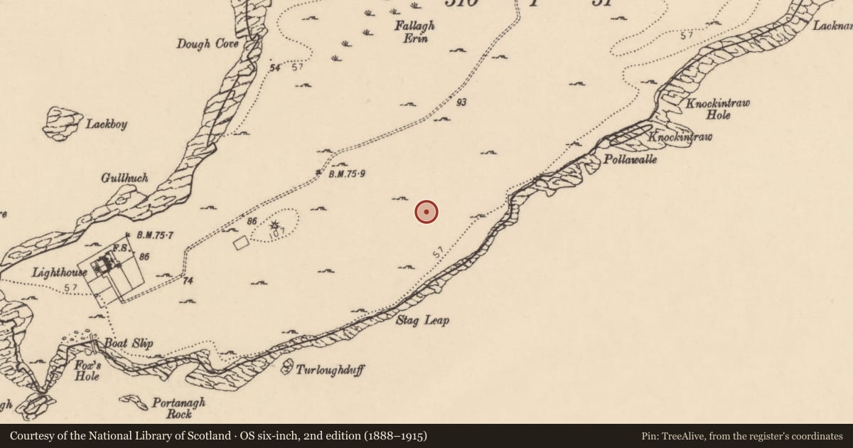 Ordnance Survey six-inch map, 2nd edition (1888–1915) covering the location of Hut site, Point, County Donegal, with a pin at the register's coordinates