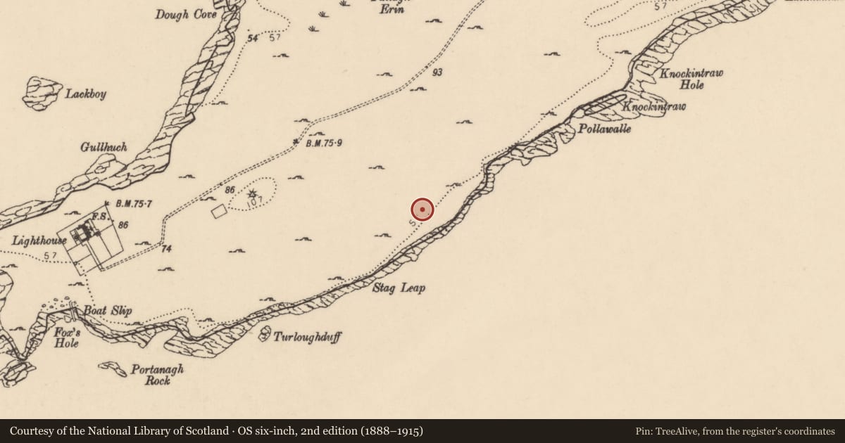 Ordnance Survey six-inch map, 2nd edition (1888–1915) covering the location of Ringfort - cashel, Point, County Donegal, with a pin at the register's coordinates