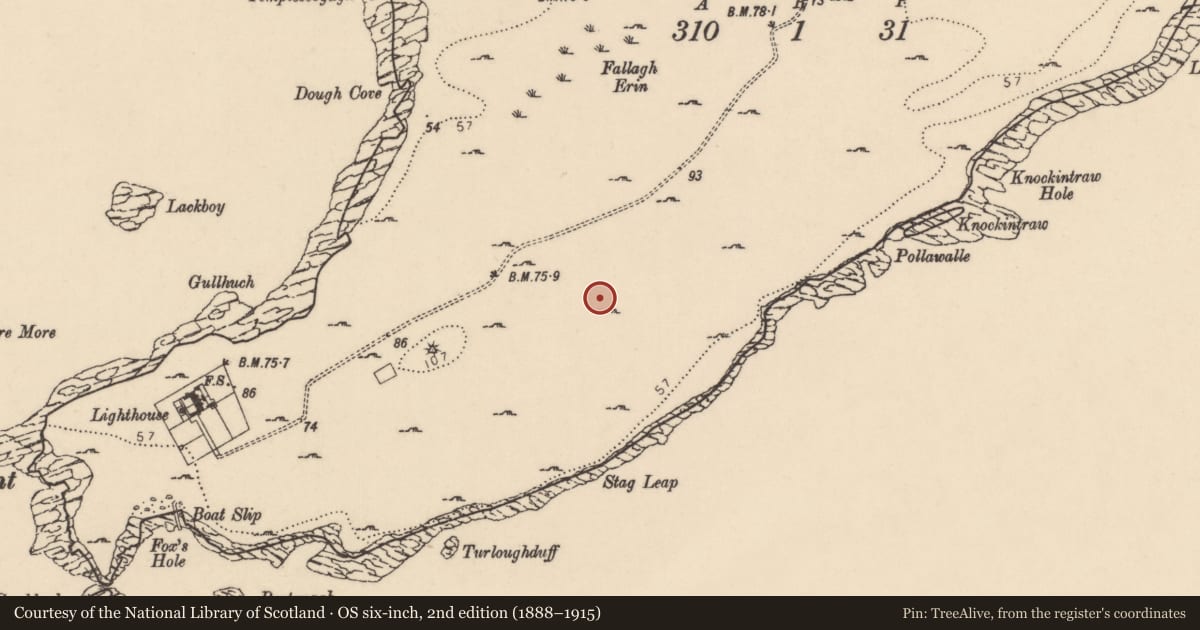 Ordnance Survey six-inch map, 2nd edition (1888–1915) covering the location of Hut site, Point, County Donegal, with a pin at the register's coordinates