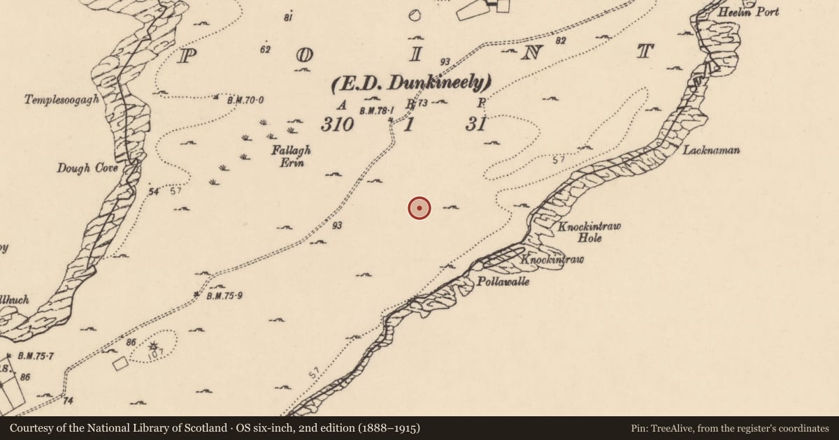 Ordnance Survey six-inch map, 2nd edition (1888–1915) covering the location of Field system, Point, County Donegal, with a pin at the register's coordinates