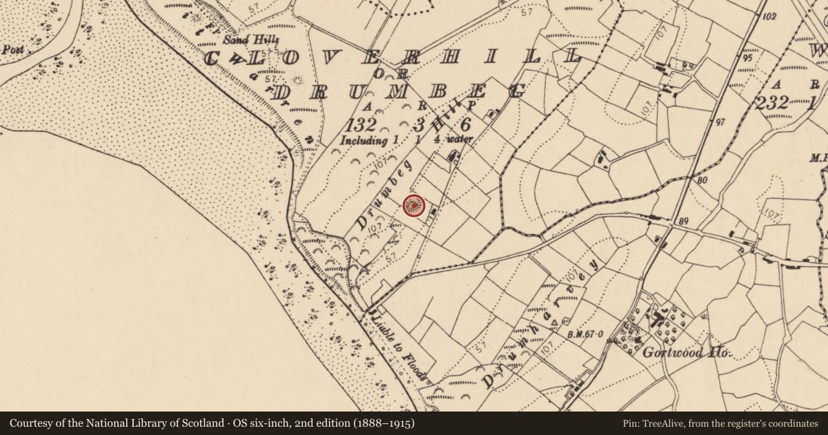 Ordnance Survey six-inch map, 2nd edition (1888–1915) covering the location of Ringfort - rath, Cloverhill Or Drumbeg, County Donegal, with a pin at the register's coordinates