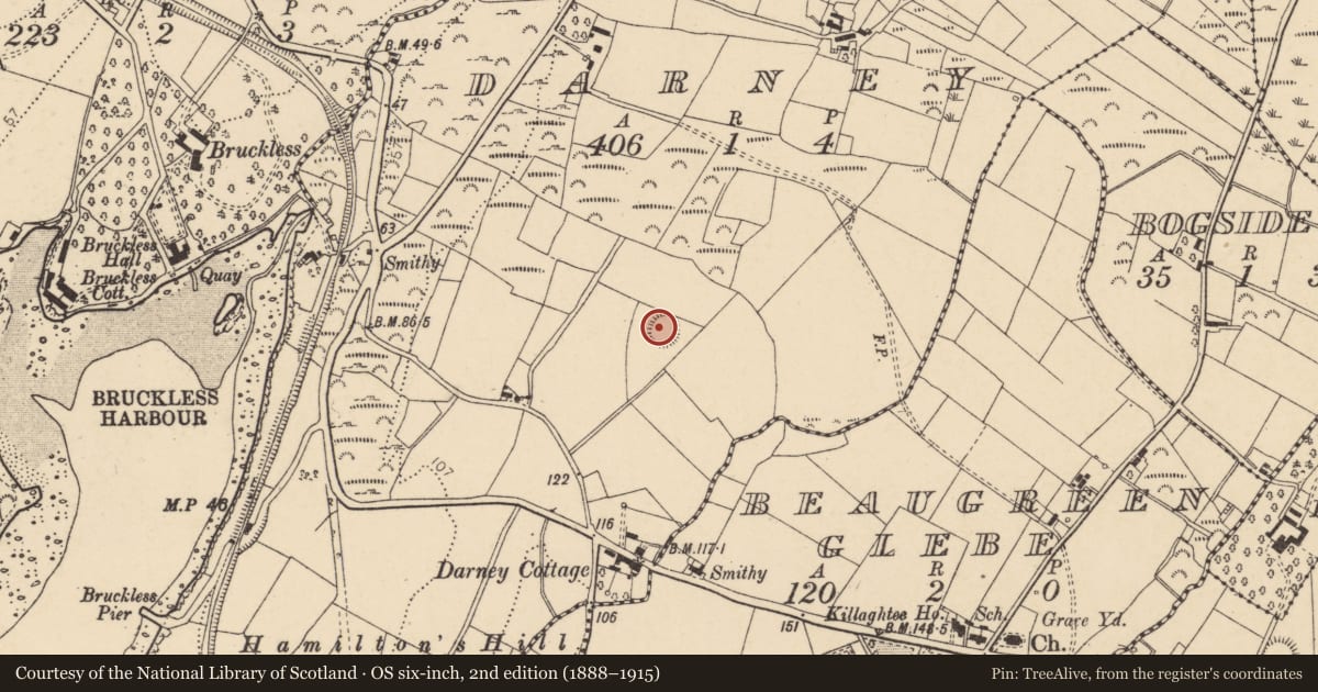Ordnance Survey six-inch map, 2nd edition (1888–1915) covering the location of Ringfort - rath, Darney, County Donegal, with a pin at the register's coordinates