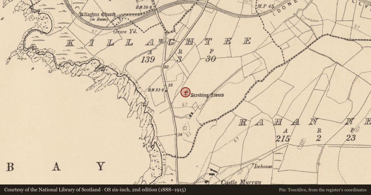 Ordnance Survey six-inch map, 2nd edition (1888–1915) covering the location of Standing stone - pair, Killaghtee, County Donegal, with a pin at the register's coordinates