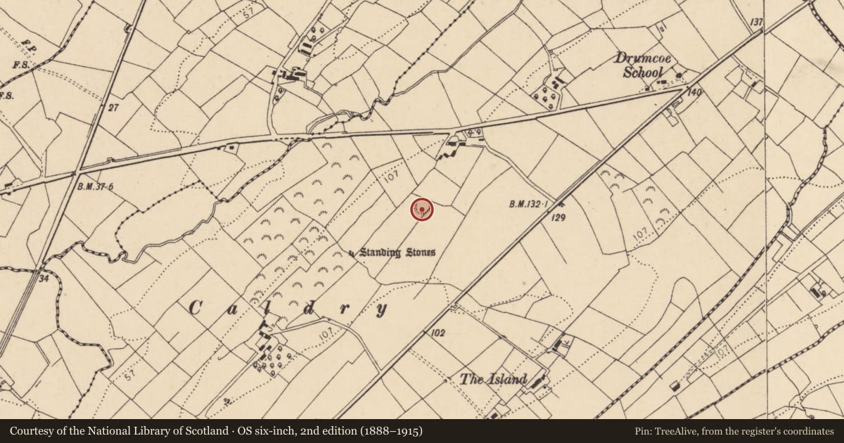 Ordnance Survey six-inch map, 2nd edition (1888–1915) covering the location of Ringfort - rath, Drumcoe, County Donegal, with a pin at the register's coordinates