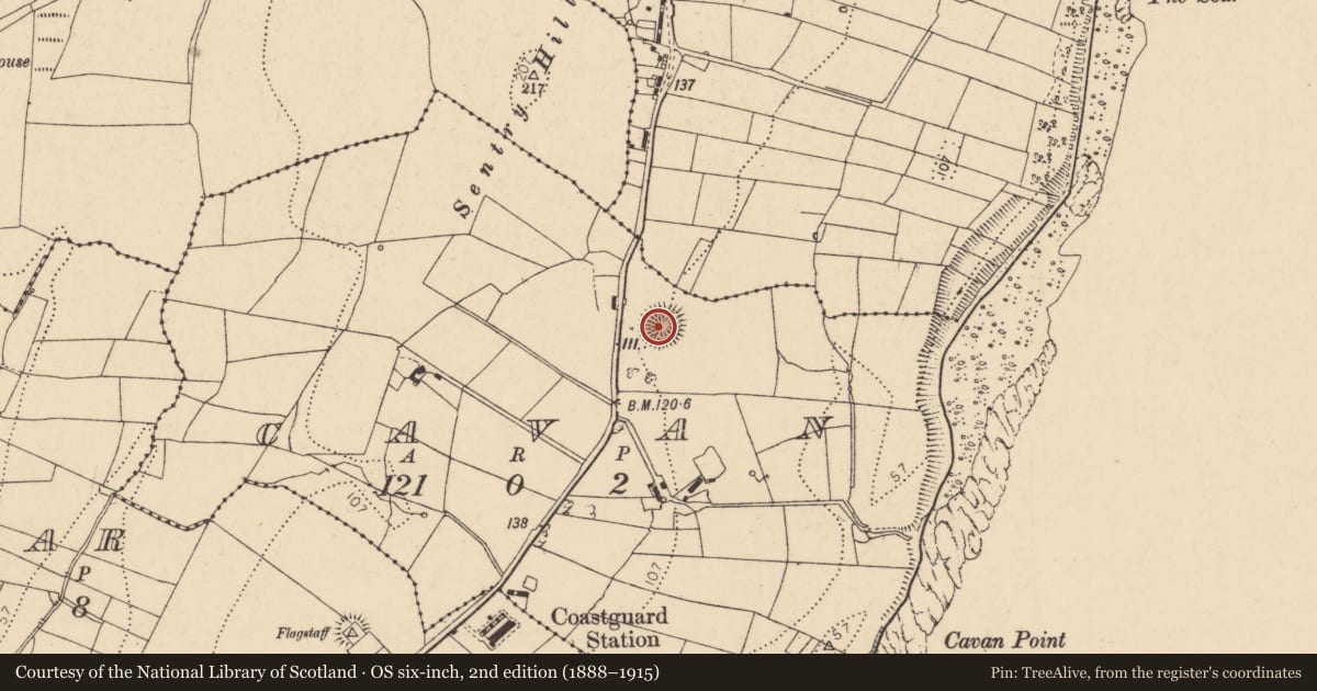 Ordnance Survey six-inch map, 2nd edition (1888–1915) covering the location of Ringfort - rath, Cavan, County Donegal, with a pin at the register's coordinates