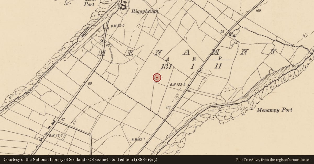 Ordnance Survey six-inch map, 2nd edition (1888–1915) covering the location of Ringfort - rath, Menamny, County Donegal, with a pin at the register's coordinates