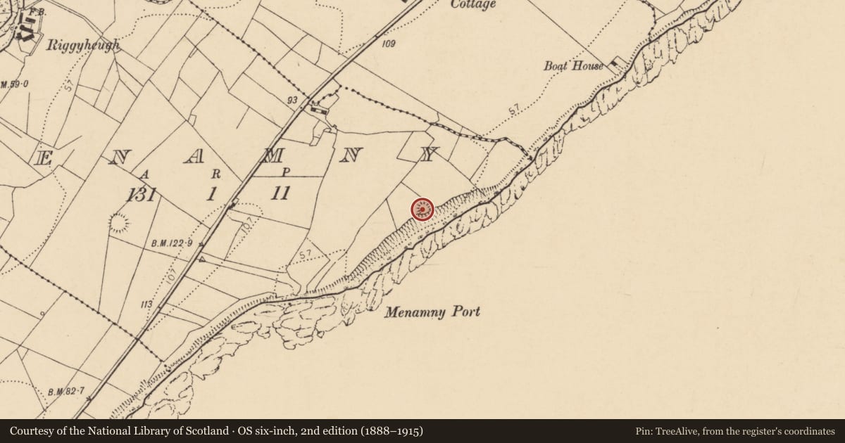Ordnance Survey six-inch map, 2nd edition (1888–1915) covering the location of Ringfort - rath, Menamny, County Donegal, with a pin at the register's coordinates