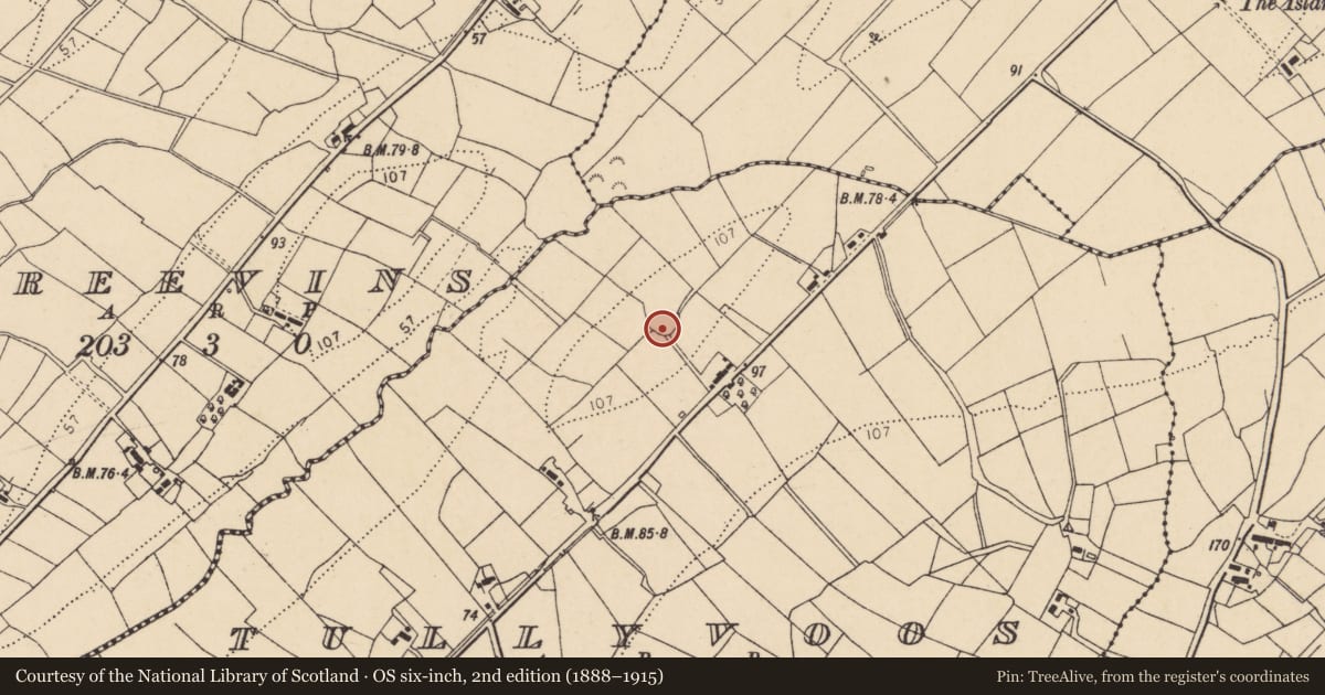 Ordnance Survey six-inch map, 2nd edition (1888–1915) covering the location of Ringfort - rath, Tullyvoos, County Donegal, with a pin at the register's coordinates
