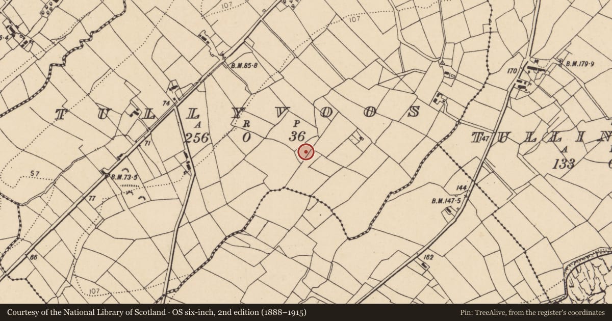 Ordnance Survey six-inch map, 2nd edition (1888–1915) covering the location of Burial ground, Tullyvoos, County Donegal, with a pin at the register's coordinates