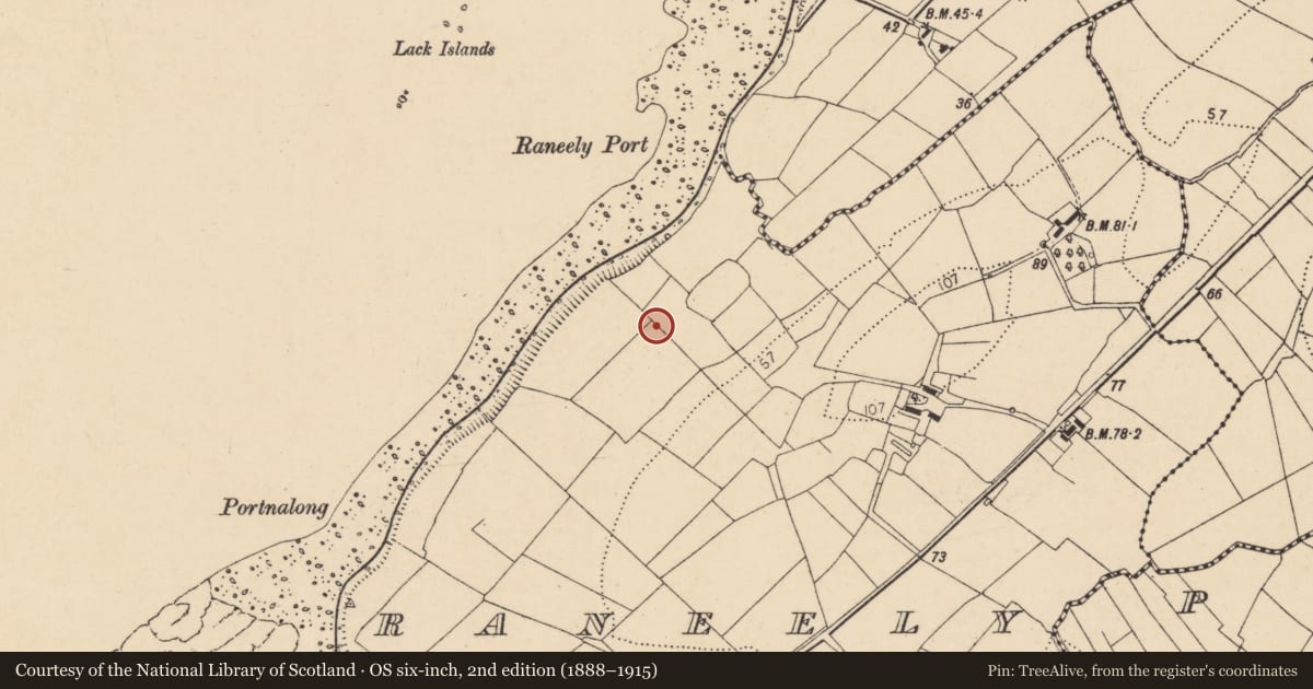 Ordnance Survey six-inch map, 2nd edition (1888–1915) covering the location of Ringfort - rath, Raneely, County Donegal, with a pin at the register's coordinates