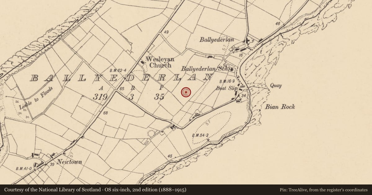 Ordnance Survey six-inch map, 2nd edition (1888–1915) covering the location of Ringfort - rath, Ballyederlan, County Donegal, with a pin at the register's coordinates