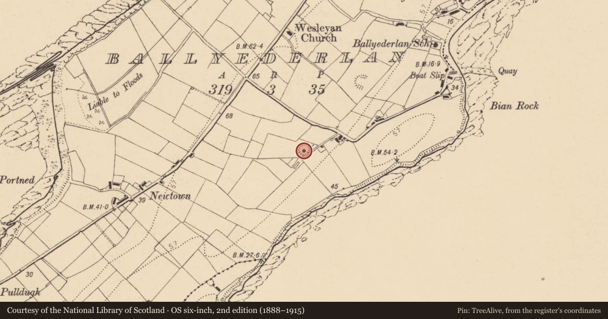 Ordnance Survey six-inch map, 2nd edition (1888–1915) covering the location of Ringfort - rath, Ballyederlan, County Donegal, with a pin at the register's coordinates