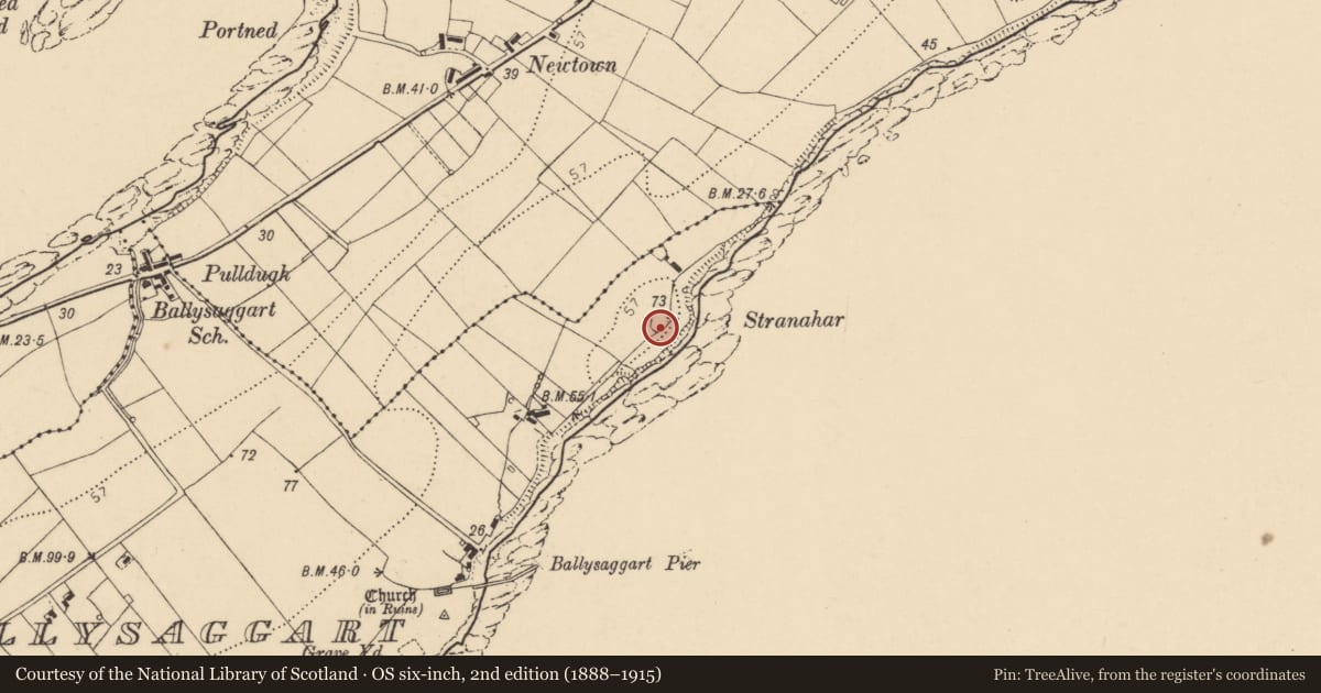 Ordnance Survey six-inch map, 2nd edition (1888–1915) covering the location of Ringfort - rath, Ballysaggart, County Donegal, with a pin at the register's coordinates