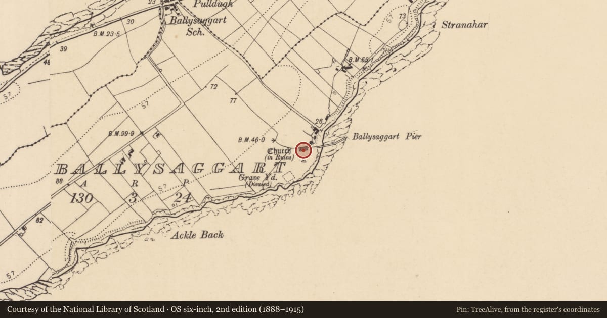 Ordnance Survey six-inch map, 2nd edition (1888–1915) covering the location of Religious house - Franciscan Third Order Regular, Ballysaggart, County Donegal, with a pin at the register's coordinates