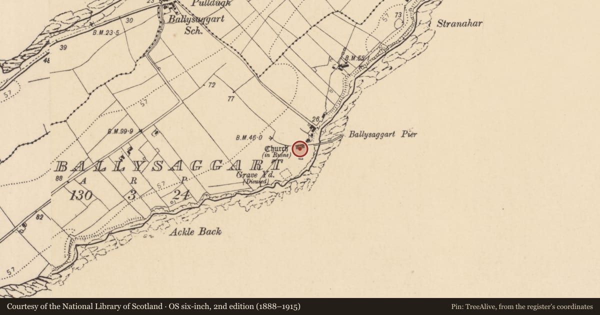 Ordnance Survey six-inch map, 2nd edition (1888–1915) covering the location of Graveslab, Ballysaggart, County Donegal, with a pin at the register's coordinates
