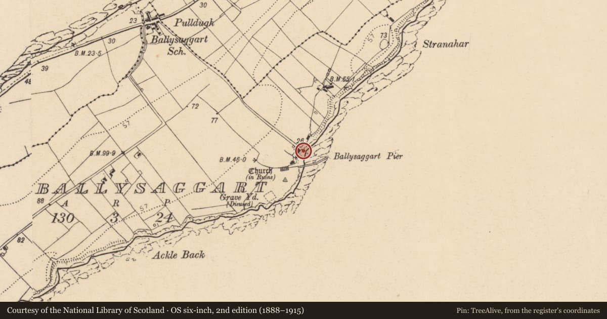 Ordnance Survey six-inch map, 2nd edition (1888–1915) covering the location of Cross, Ballysaggart, County Donegal, with a pin at the register's coordinates