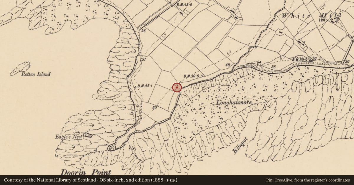 Ordnance Survey six-inch map, 2nd edition (1888–1915) covering the location of Ritual site - holy well, Raneely, County Donegal, with a pin at the register's coordinates