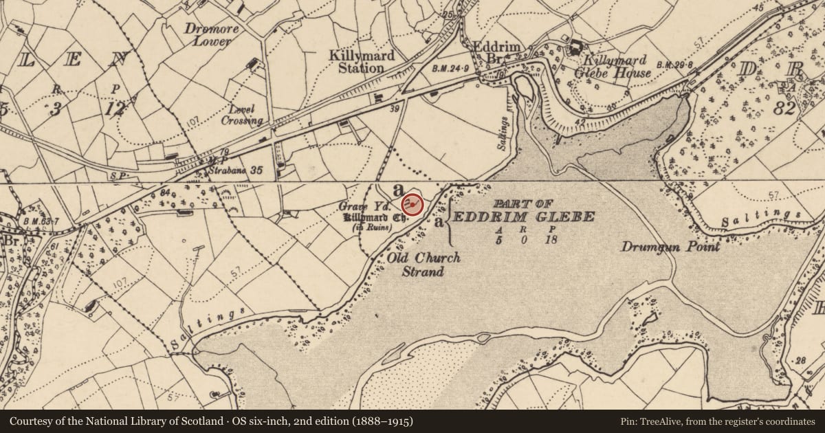 Ordnance Survey six-inch map, 2nd edition (1888–1915) covering the location of Graveyard, Eddrim Glebe, County Donegal, with a pin at the register's coordinates