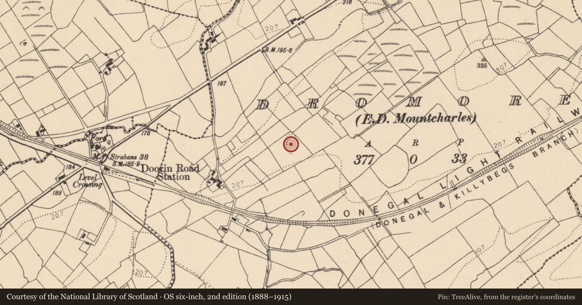 Ordnance Survey six-inch map, 2nd edition (1888–1915) covering the location of Ringfort - rath, Dromore, County Donegal, with a pin at the register's coordinates