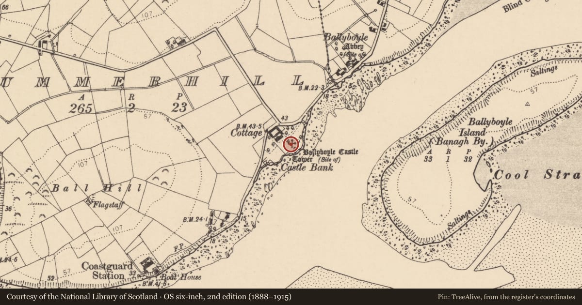 Ordnance Survey six-inch map, 2nd edition (1888–1915) covering the location of Bawn, Summerhill, County Donegal, with a pin at the register's coordinates