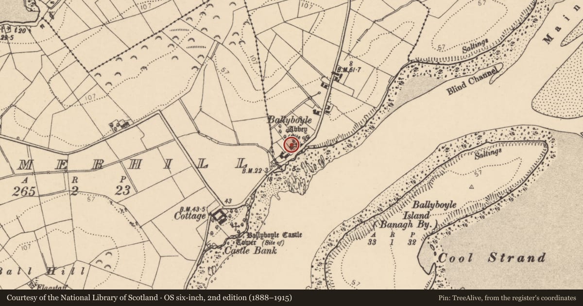 Ordnance Survey six-inch map, 2nd edition (1888–1915) covering the location of Ecclesiastical site, Ballyboyle, County Donegal, with a pin at the register's coordinates