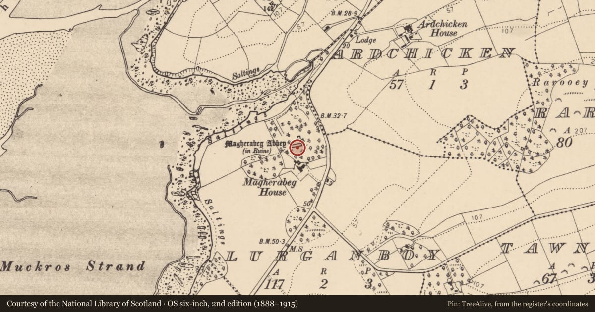Ordnance Survey six-inch map, 2nd edition (1888–1915) covering the location of Religious house - Franciscan Third Order Regular, Lurganboy, County Donegal, with a pin at the register's coordinates