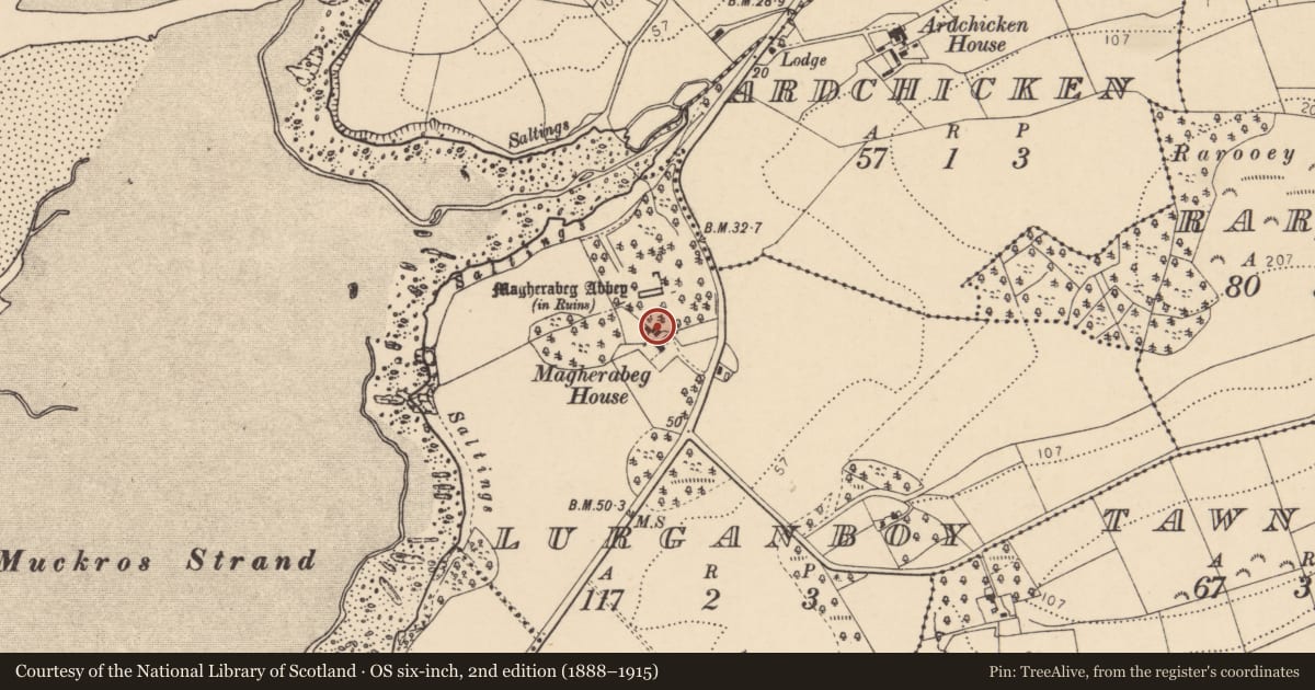 Ordnance Survey six-inch map, 2nd edition (1888–1915) covering the location of Architectural fragment, Lurganboy, County Donegal, with a pin at the register's coordinates