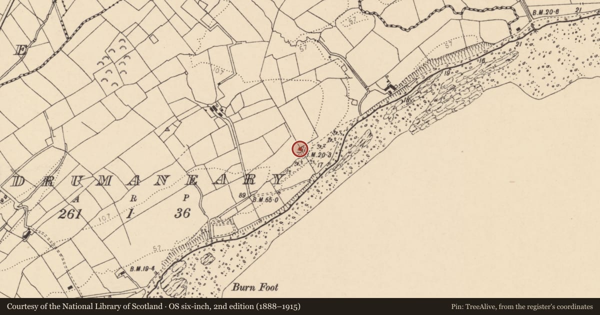 Ordnance Survey six-inch map, 2nd edition (1888–1915) covering the location of Ringfort - rath, Droim An Aonaigh, County Donegal, with a pin at the register's coordinates