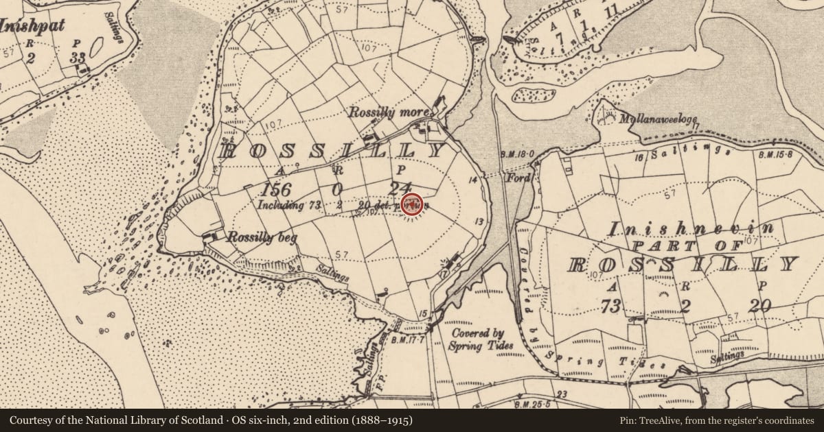 Ordnance Survey six-inch map, 2nd edition (1888–1915) covering the location of Ringfort - rath, Rossilly, County Donegal, with a pin at the register's coordinates