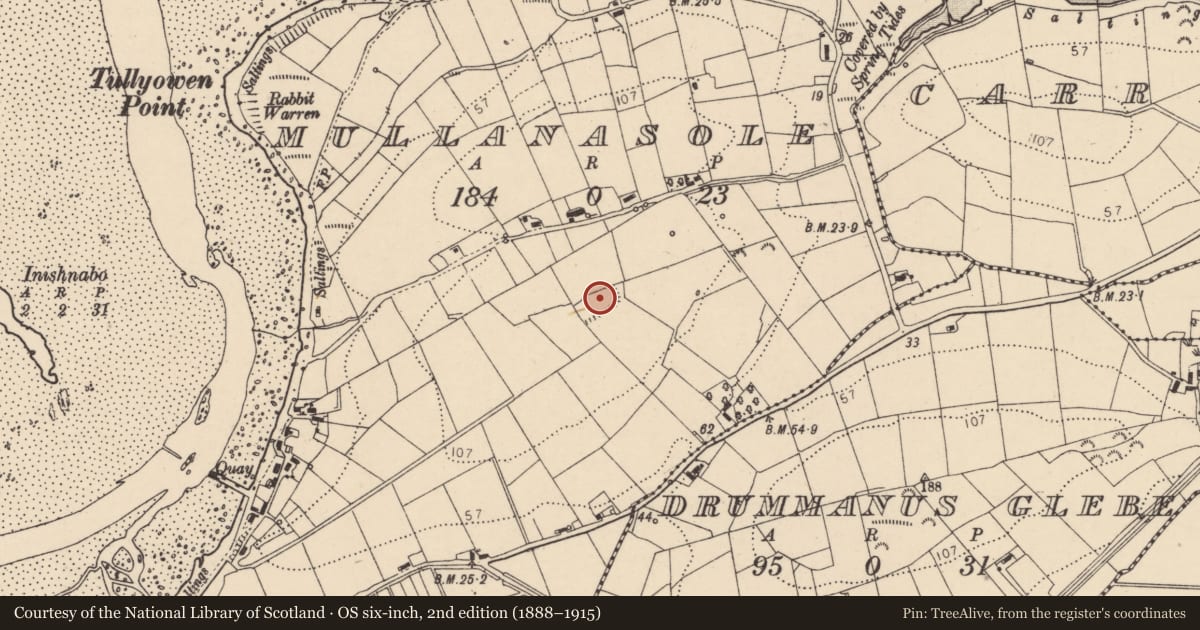 Ordnance Survey six-inch map, 2nd edition (1888–1915) covering the location of Enclosure, County Donegal, with a pin at the register's coordinates