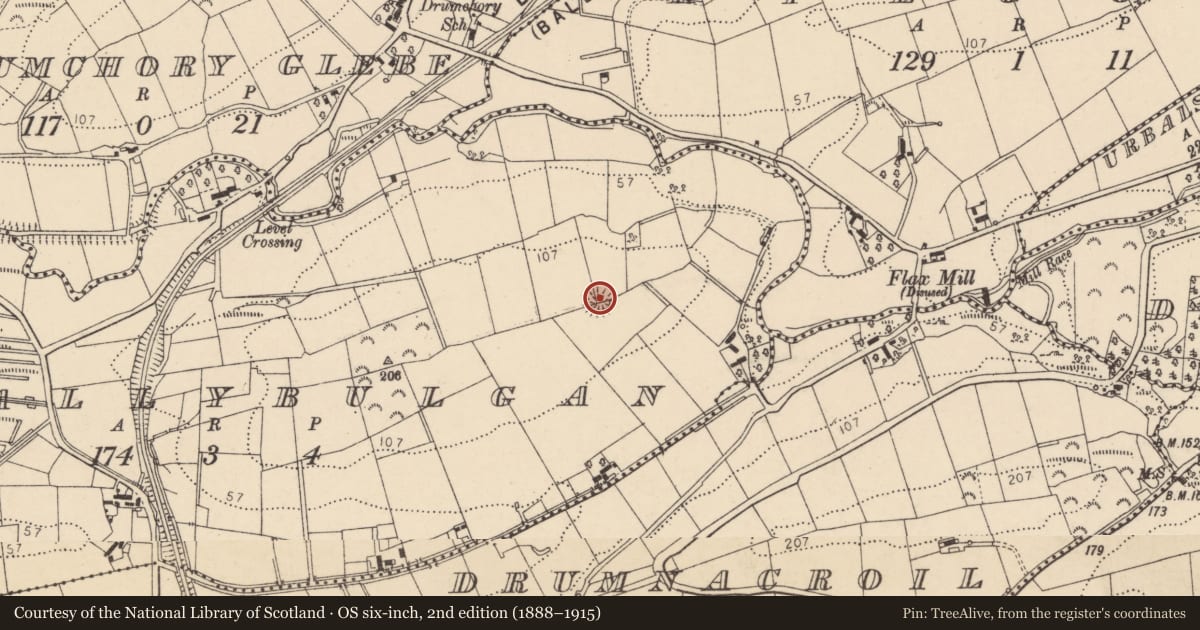 Ordnance Survey six-inch map, 2nd edition (1888–1915) covering the location of Ringfort - rath, Ballybulgan, County Donegal, with a pin at the register's coordinates