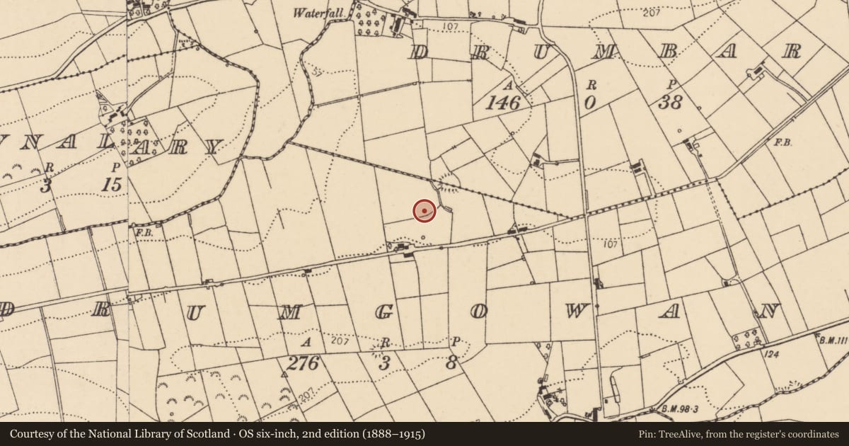 Ordnance Survey six-inch map, 2nd edition (1888–1915) covering the location of Ringfort - rath, Drumgowan, County Donegal, with a pin at the register's coordinates