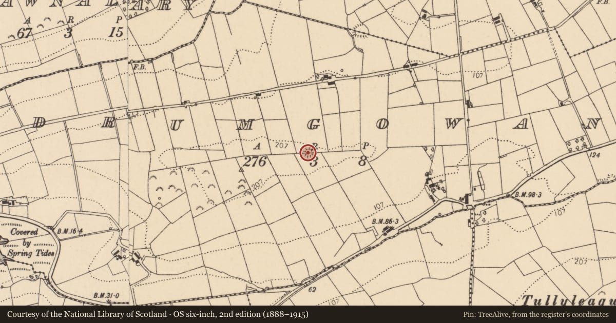 Ordnance Survey six-inch map, 2nd edition (1888–1915) covering the location of Ringfort - rath, Drumgowan, County Donegal, with a pin at the register's coordinates