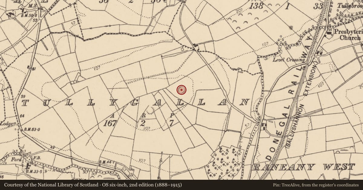 Ordnance Survey six-inch map, 2nd edition (1888–1915) covering the location of Ringfort - rath, Tullygallan, County Donegal, with a pin at the register's coordinates