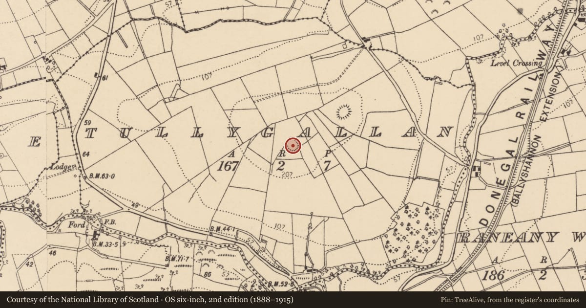 Ordnance Survey six-inch map, 2nd edition (1888–1915) covering the location of Ringfort - rath, Tullygallan, County Donegal, with a pin at the register's coordinates