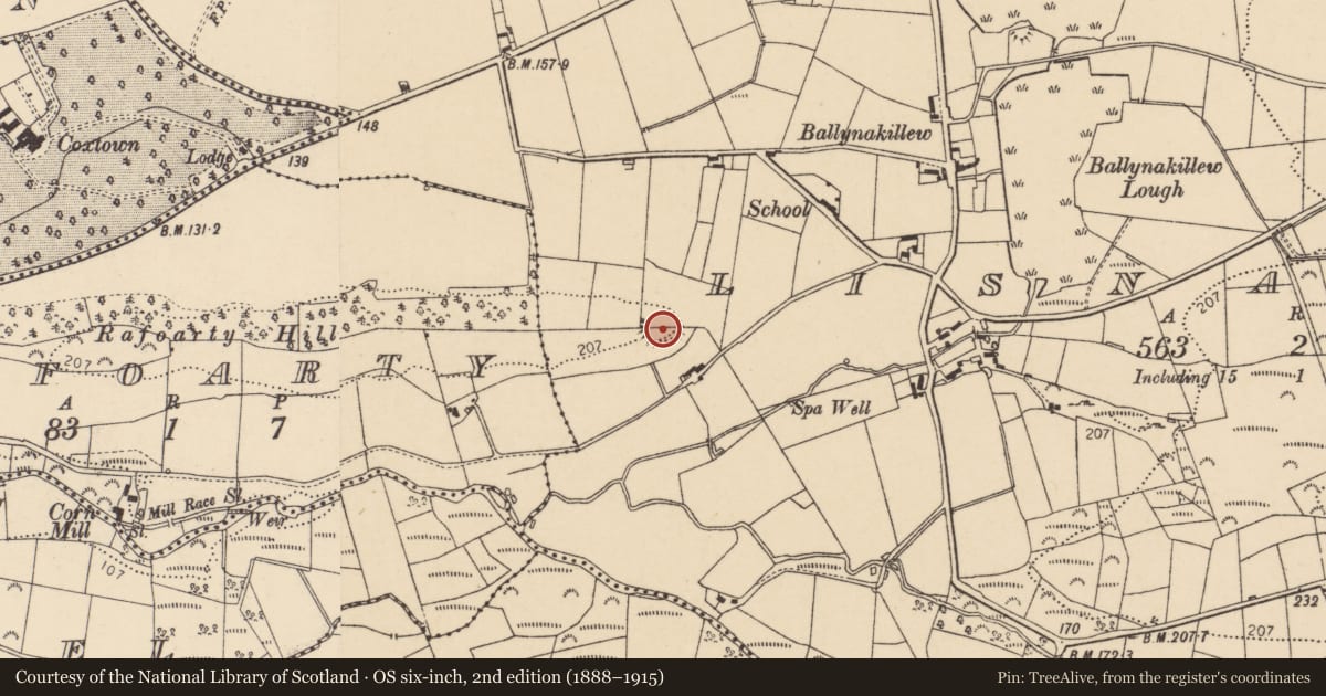 Ordnance Survey six-inch map, 2nd edition (1888–1915) covering the location of Ringfort - rath, Lisnapaste, County Donegal, with a pin at the register's coordinates